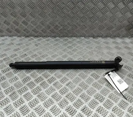 Porsche Taycan 9J1 Tailgate/trunk strut/damper 9J0827851A