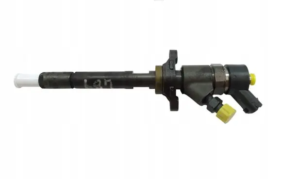 Citroen Xsara Picasso Fuel injector 0445110188