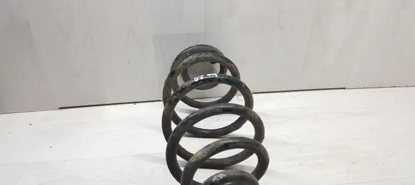 Opel Insignia A Rear coil spring