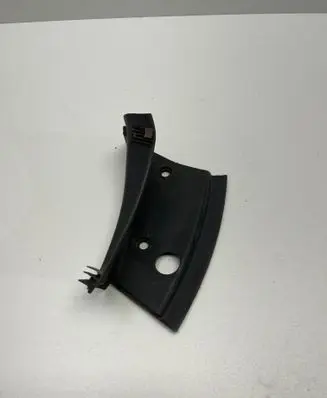 Rear/tail light trim molding