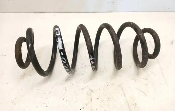Rear coil spring