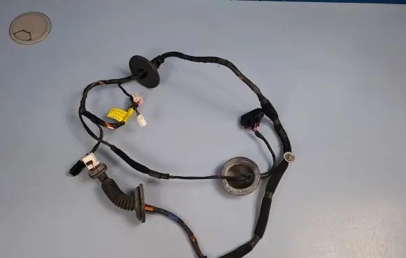 Rear door wiring loom