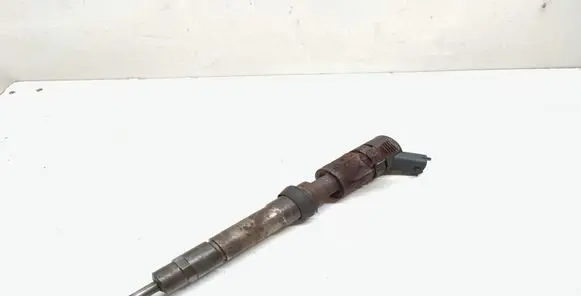 Fiat Ducato Fuel injector 0445110273 504088755