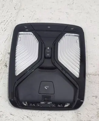 BMW X5 G05 Front seat light 5A25179 1202750097