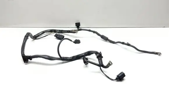 Volkswagen PASSAT CC Wires (starter motor) 3C0971230