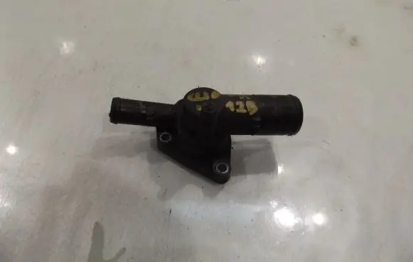 Renault Clio III Thermostat housing 