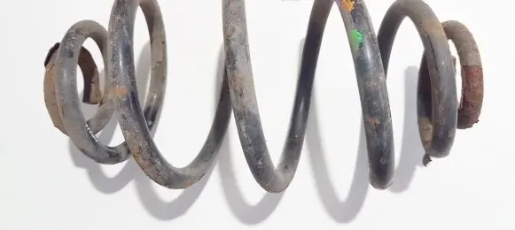 Rear coil spring