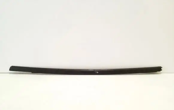 Ford Ecosport Rear door glass trim molding