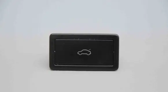 Volkswagen Tiguan Tailgate/boot open switch button 3G0959831B