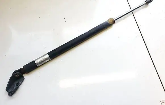 Tailgate/trunk strut/damper