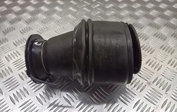 Citroen C4 I Picasso Rear air suspension bag/shock absorber 8100001