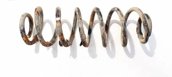Skoda Octavia Mk2 (1Z) Rear coil spring 
