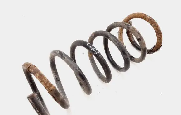 Rear coil spring