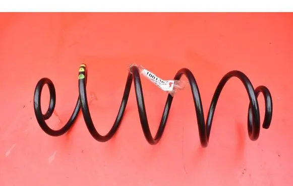 Rear coil spring