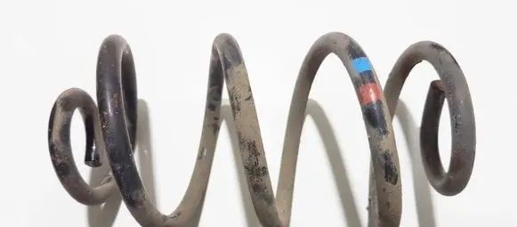 Rear coil spring