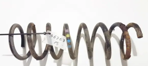 Ford Focus C-MAX Rear coil spring