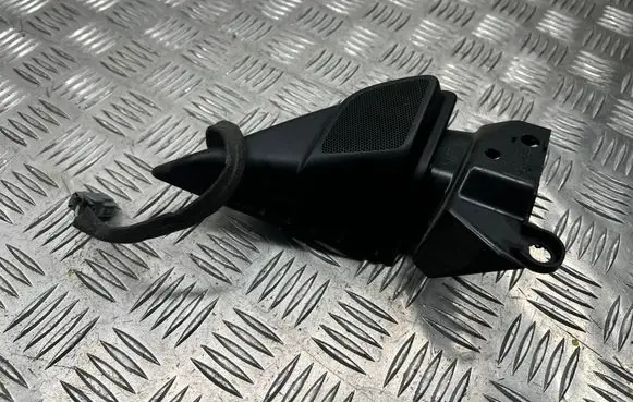 Front door speaker