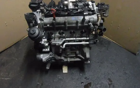 Volkswagen Golf V Engine BLF