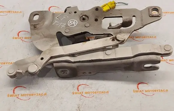 BMW 6 F06 Gran coupe Engine bonnet/hood hinges 7249887
