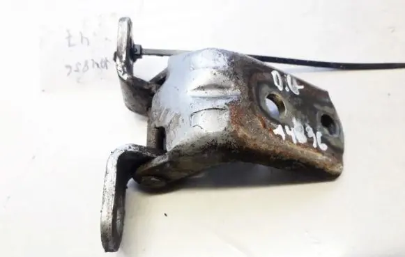 Rear door lower hinge
