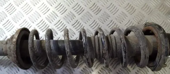 Rear coil spring
