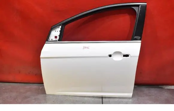 Ford Focus Front door 
