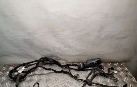 Front door wiring loom