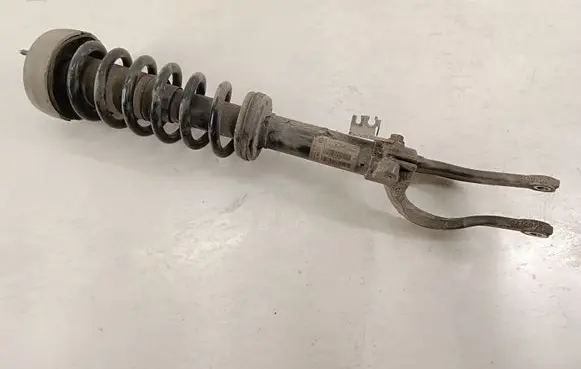 BMW X6 E71 Front shock absorber with coil spring 3131678301602 14941510 22246849