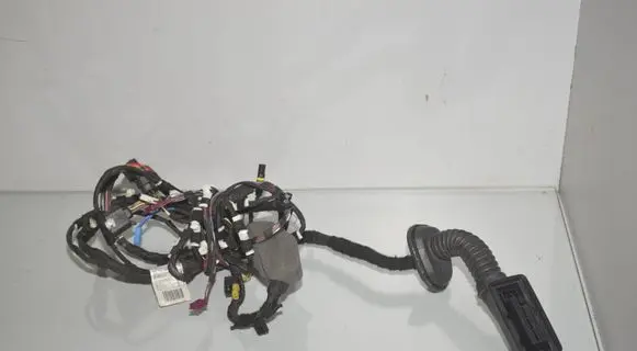 Front door wiring loom