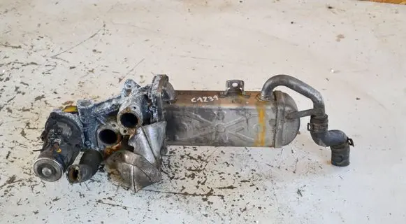 Volkswagen Tiguan EGR valve cooler 03L131512BL 1247111