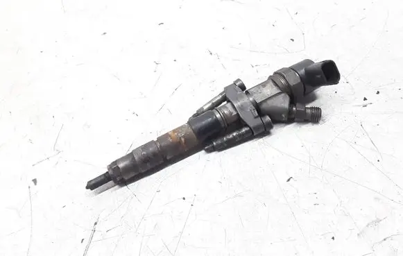 Renault Espace - Grand espace IV Fuel injector 8200084534 0445110084