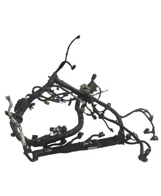 Engine installation wiring loom