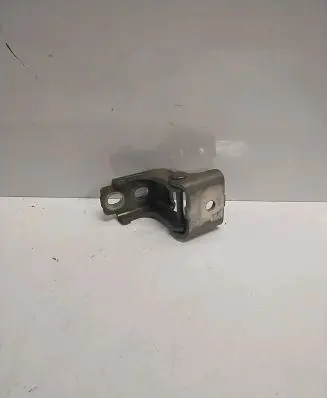 Renault Scenic III - Grand scenic III Rear door lower hinge 804200003R