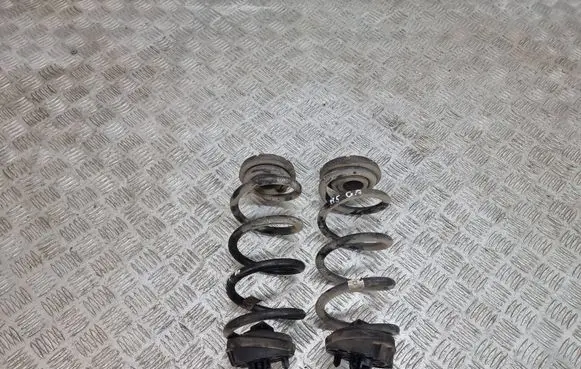 Rear coil spring