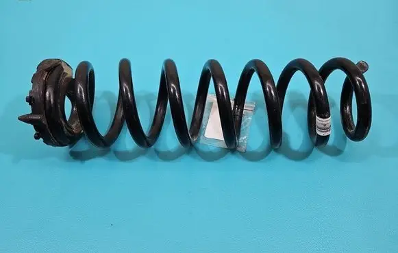 Rear coil spring