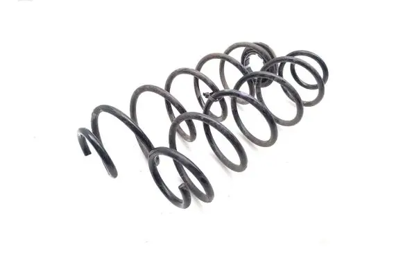 Rear coil spring