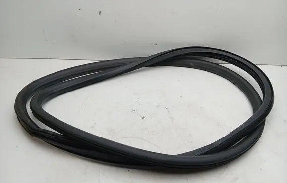 Opel Ampera Front door rubber seal 