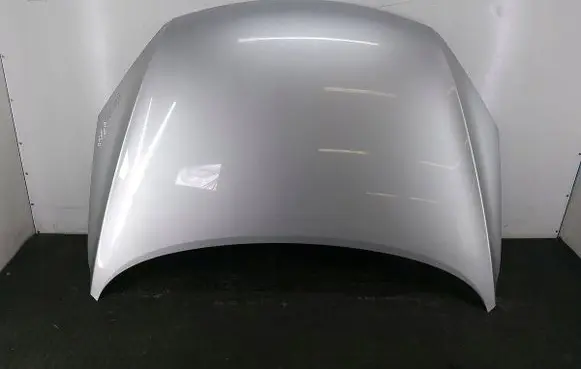 Engine bonnet/hood