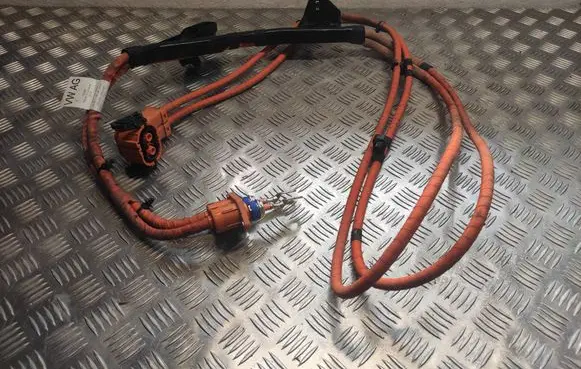Cupra Formentor Other wiring loom 5WA971015 20042018