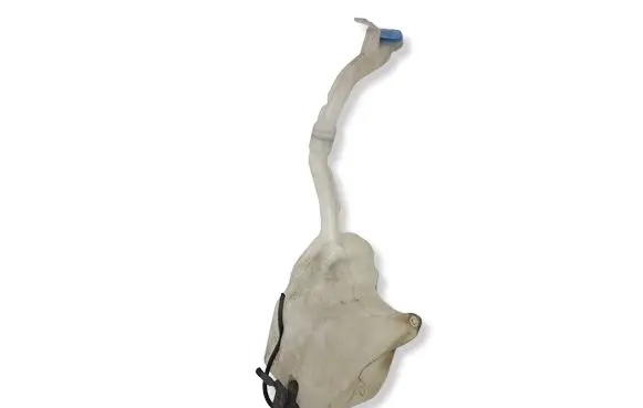 Honda Civic Windshield washer fluid reservoir/tank 