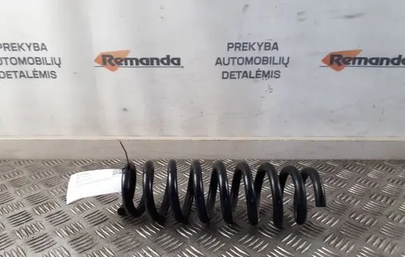 Rear coil spring