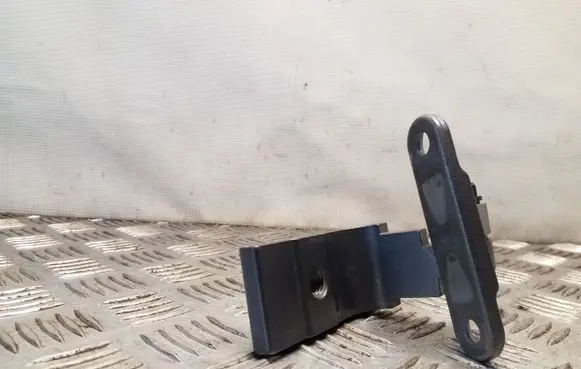 Rear door lower hinge