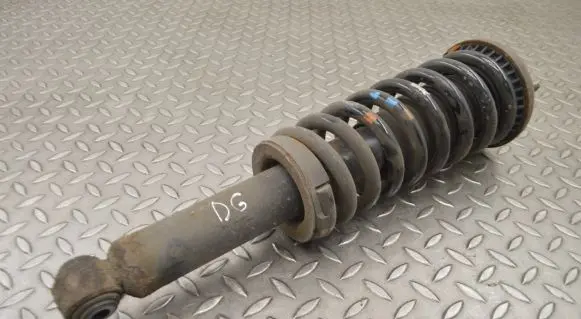 Rear shock absorber/damper