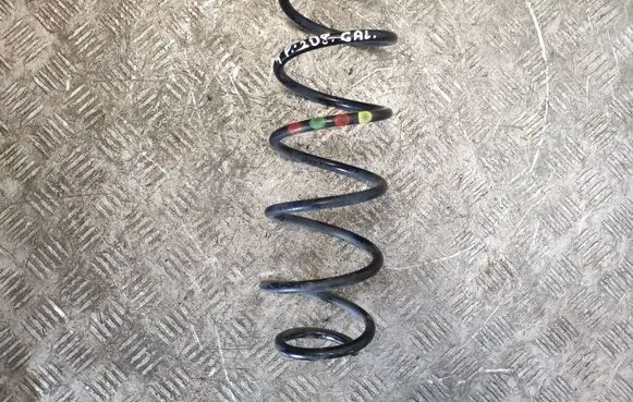 Rear coil spring