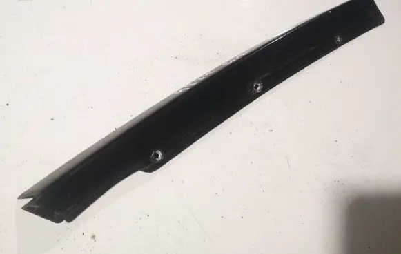 Other rear door trim element