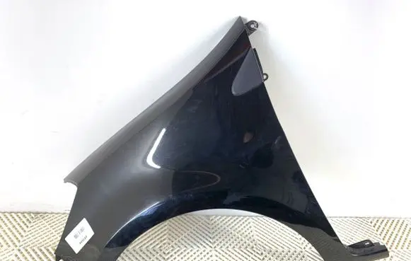 Renault Clio III Fender 