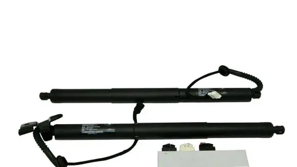 Tailgate/trunk control unit/module