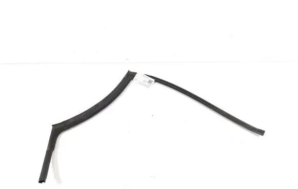 Mini Clubman F54 Rubber seal rear door 7344157
