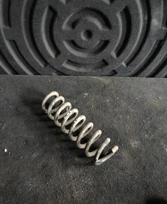 Rear coil spring