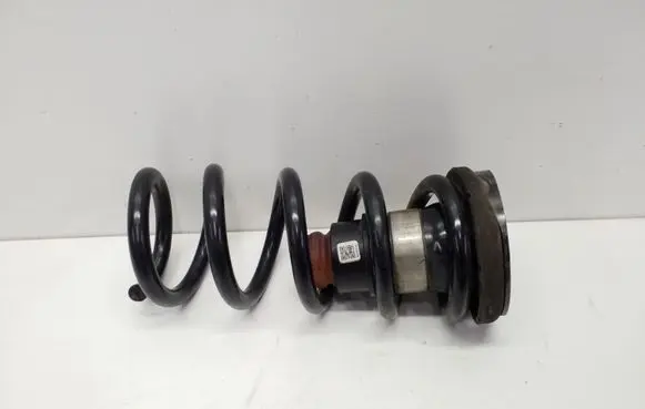 Chrysler Pacifica Rear coil spring 68231983AB P68231026AB
